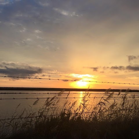 Oasi naturale delle saline