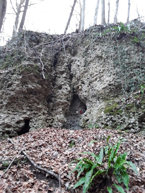 Buco Superiore di Bosco Brusa