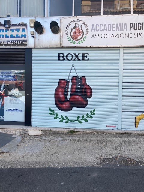 Pugilato Bracciano Boxe, Boxing, Ring . Accademia pugilistica David Tobini