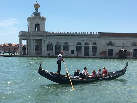 Venice Tours Srl - Operation