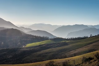 Agriturismo Ca' di Piaza