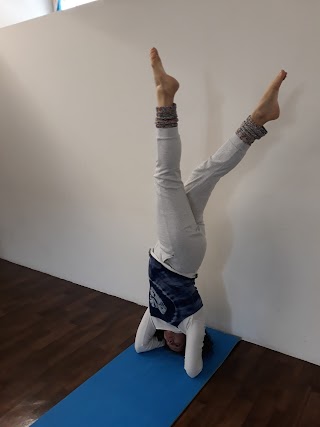 VISHUDDADEVA asd Scuola di Formazione ginnastica Yoga, meditazione, sport settimanali