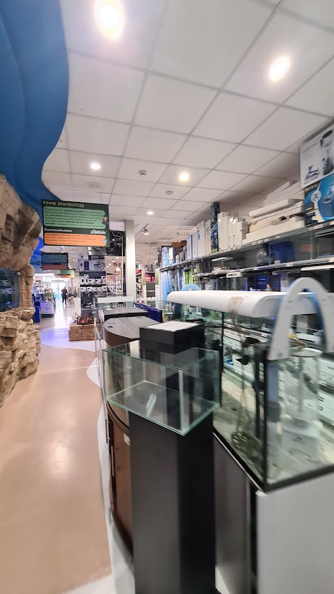 Zoomiguana Il Megastore Degli Animali