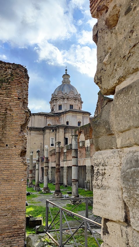 Guida Turistica Roma Mauro Cannella