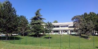 Scuole Elementari A.C.Ongaro