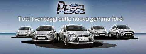 Pesce Auto Service srl