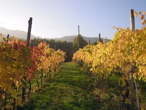 Casa Aiva & Il Ciabutin