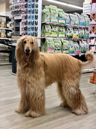 Pet Store Conad Negozio per animali