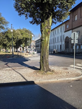 Stazione Bus Lucca