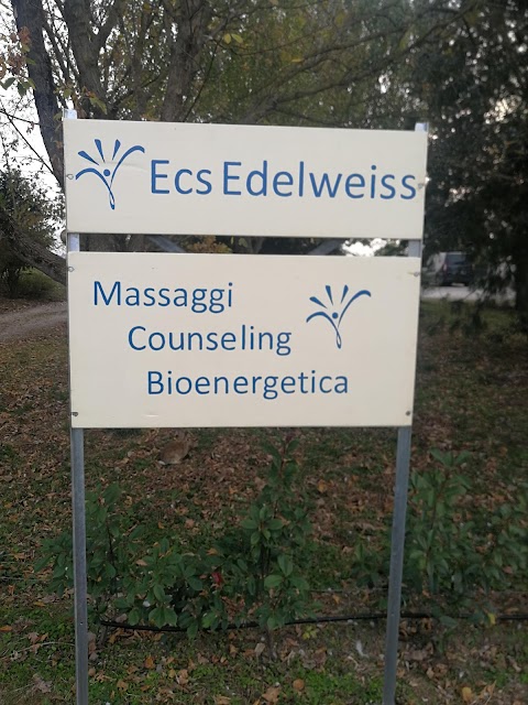 ECS Edelweiss