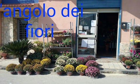 L'Angolo Dei Fiori Di Vecchio Pietro