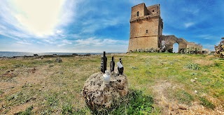 VINOIL - PRODUZIONE E VENDITA OLIO - OLIO EVO - OLIO EXTRAVERGINE