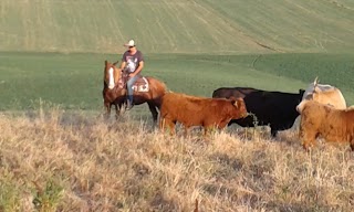 The Dream Ranch - Scuola Equitazione