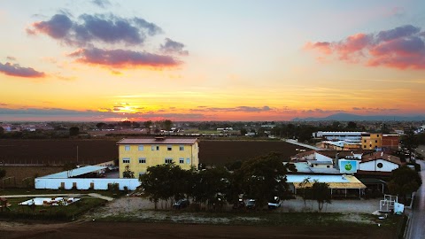 SAF 365 | Azienda Agricola Biologica