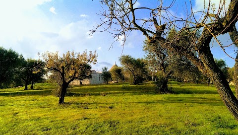 B&B I Tramonti Di Calongo