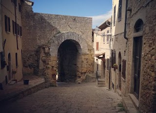 Volterra Tour - visite guidate a raccolta in italiano e inglese