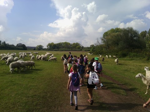 L'Asilo nel Bosco - Ostia Antica