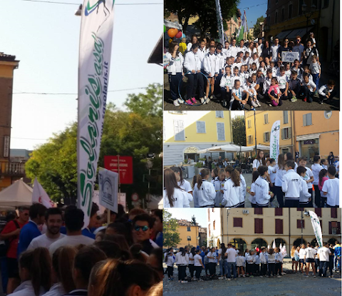 Società Ginnastica Solaris ASD c/o Palazzetto dello Sport