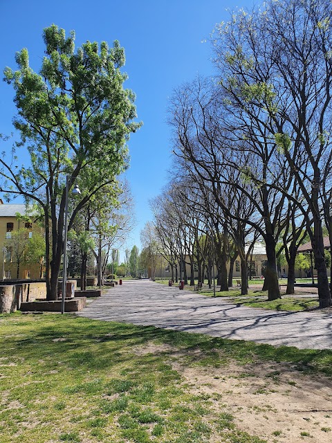 Parco della Musica