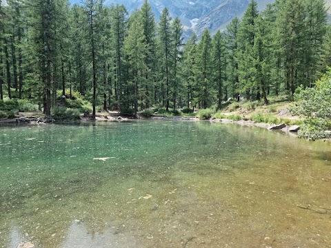 Lago Pellaud