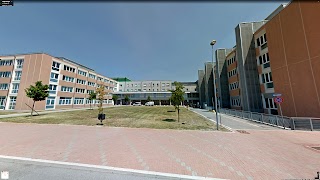 Azienda Ospedaliero-Universitaria di Ferrara