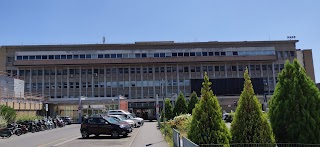 Universita' Di Firenze - Dipartimento Scienze Ortopediche - Ricostr.
