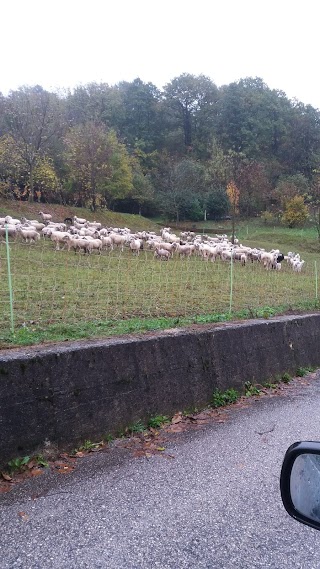 Fattoria Didattica Tiglio e Quercia