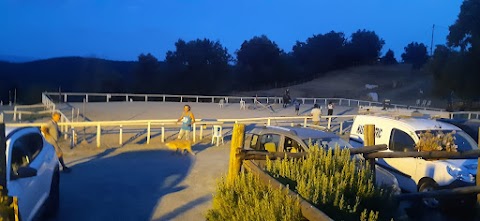 Centro Equestre Il Baio Oscuro