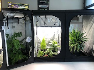 Idroponica Grow Shop Milano