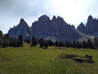 Destinazione Sole - Alzano Lombardo