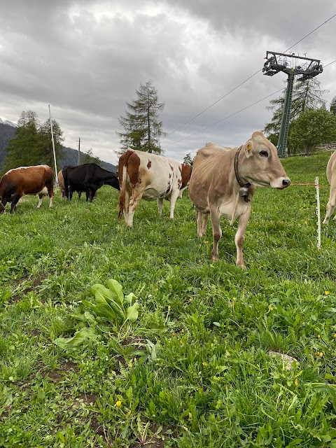 Azienda agricola Golde