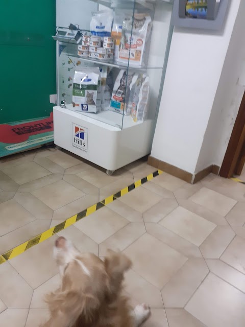 Ambulatorio Veterinario Mi Fido di Te