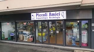 Piccoli Amici