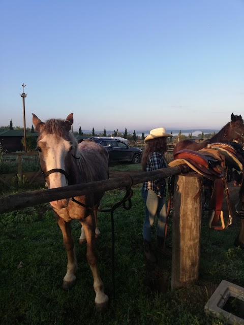 Fattoria Delle Due Rose Circolo Equestre