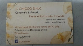 Il Chicco