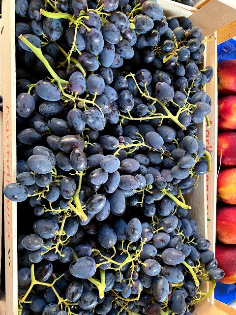 Azienda agricola Bersani Marco