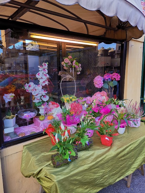 Rose e Cose - Piante, Fiori, Articoli da Regalo - Fioraio Genova