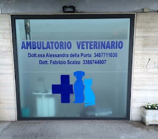 Ambulatorio veterinario Della Porta Alessandra e Scalzo Fabrizio