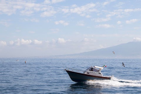 Sorrento Seadogs