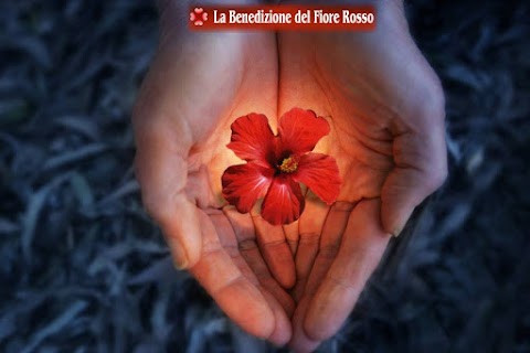 Benedizione del Fiore Rosso