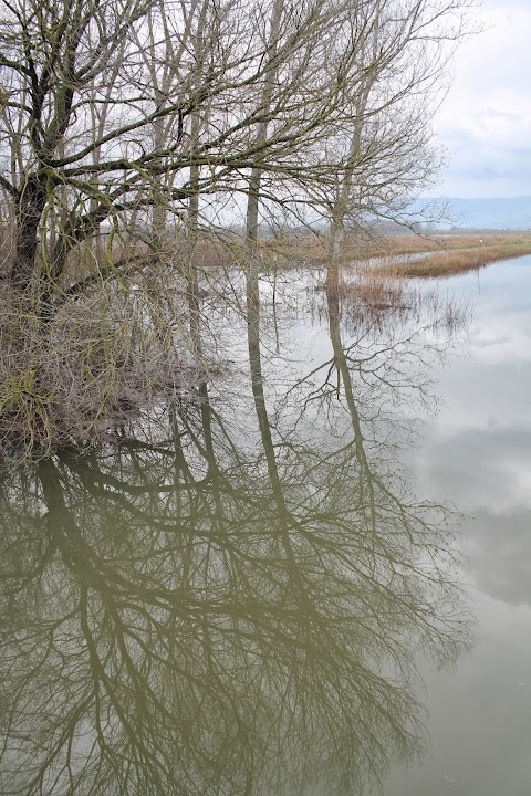 Area naturale La Monaca-Righetti