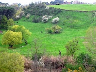 Parco dell'Inviolatella Borghese