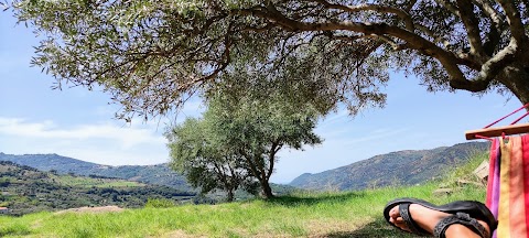 L'Antica Quercia B&B