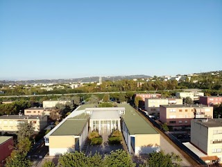 Istituto Comprensivo 7° Pergolesi 2 - "Plesso Viviani"