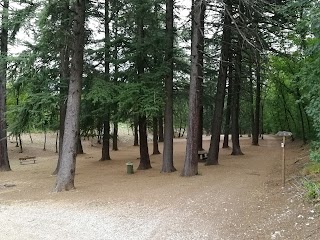 Bosco della Città di Rovereto