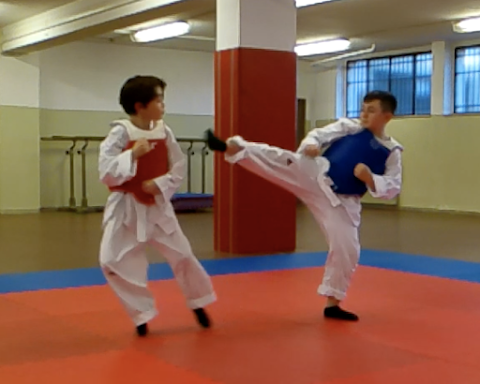 Taekwondo New Fight