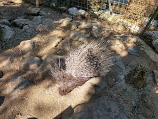 Zoo Park Rožman