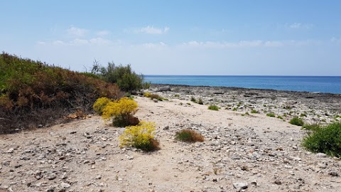 Pescaturismo Per Vivere Il Mare