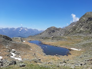 Laghi D'ovarda