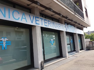 Dr.ssa Cattani Silvia - Il Mio Vet Monza